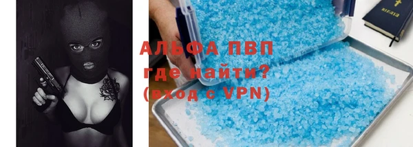 гидра Корсаков
