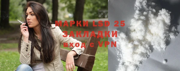 шишки Костерёво