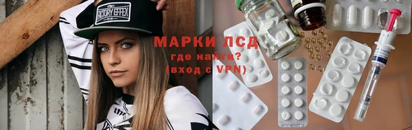гидра Корсаков