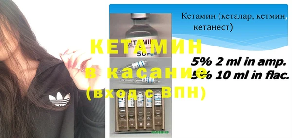 шишки Костерёво