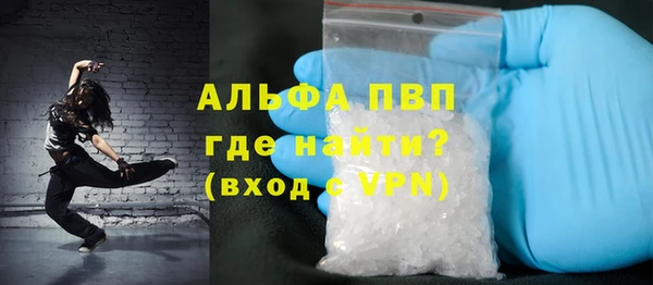 гидра Корсаков