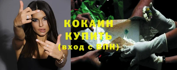гидра Корсаков