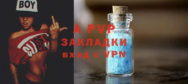 шишки Костерёво