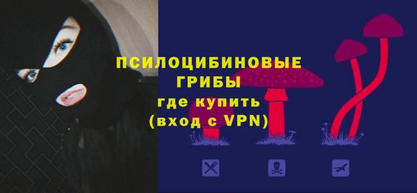 гидра Корсаков