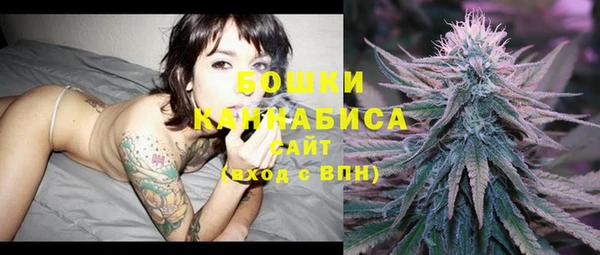 шишки Костерёво