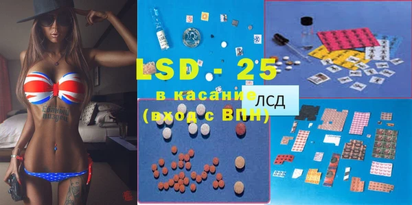 шишки Костерёво