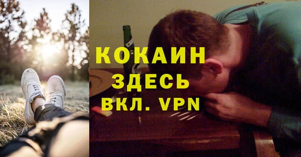 гидра Корсаков