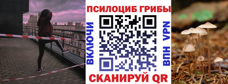 Галлюциногенные грибы прущие грибы  Купить  Алзамай 