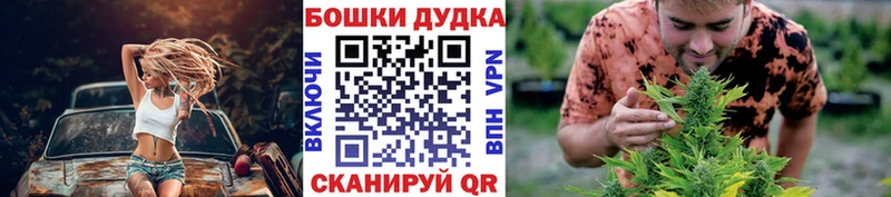 Бошки марихуана Amnesia  Купить где  Алзамай 